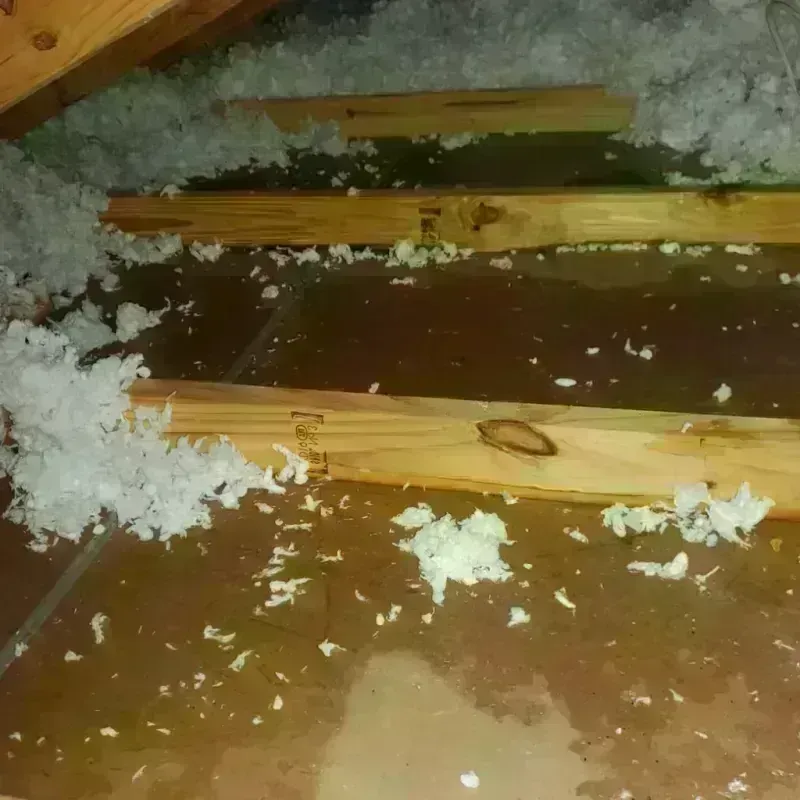 Attic Water Damage in Wallace, NC