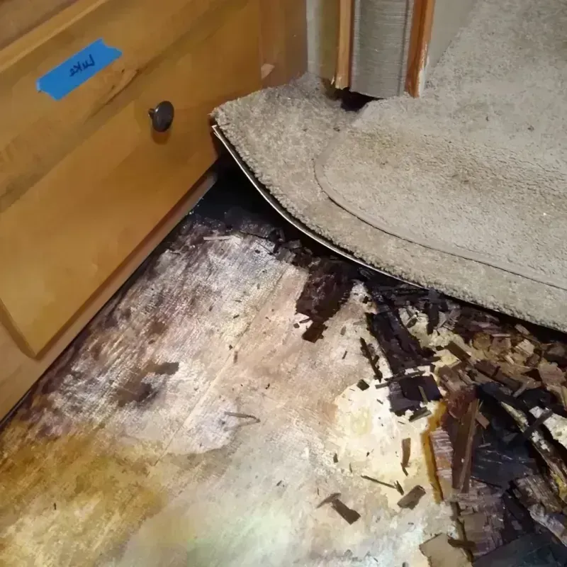 Best Wood Floor Water Damage Service in Wallace, NC